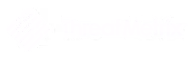 ThreatMetrix security